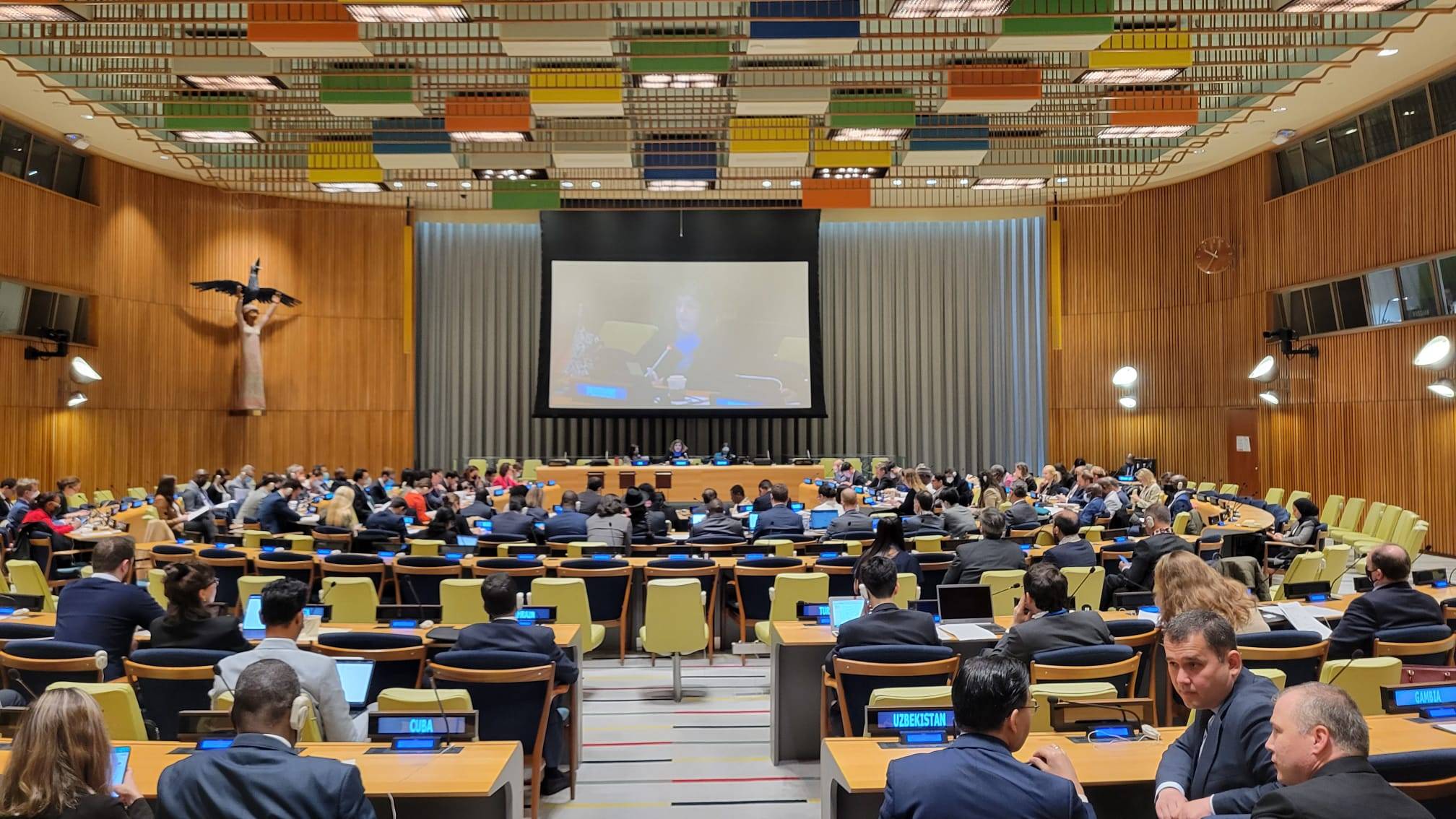 Оон 13. Экономический и социальный совет ООН. Армении в ООН заседание. Американское заседание. 6 Комитетов ООН.