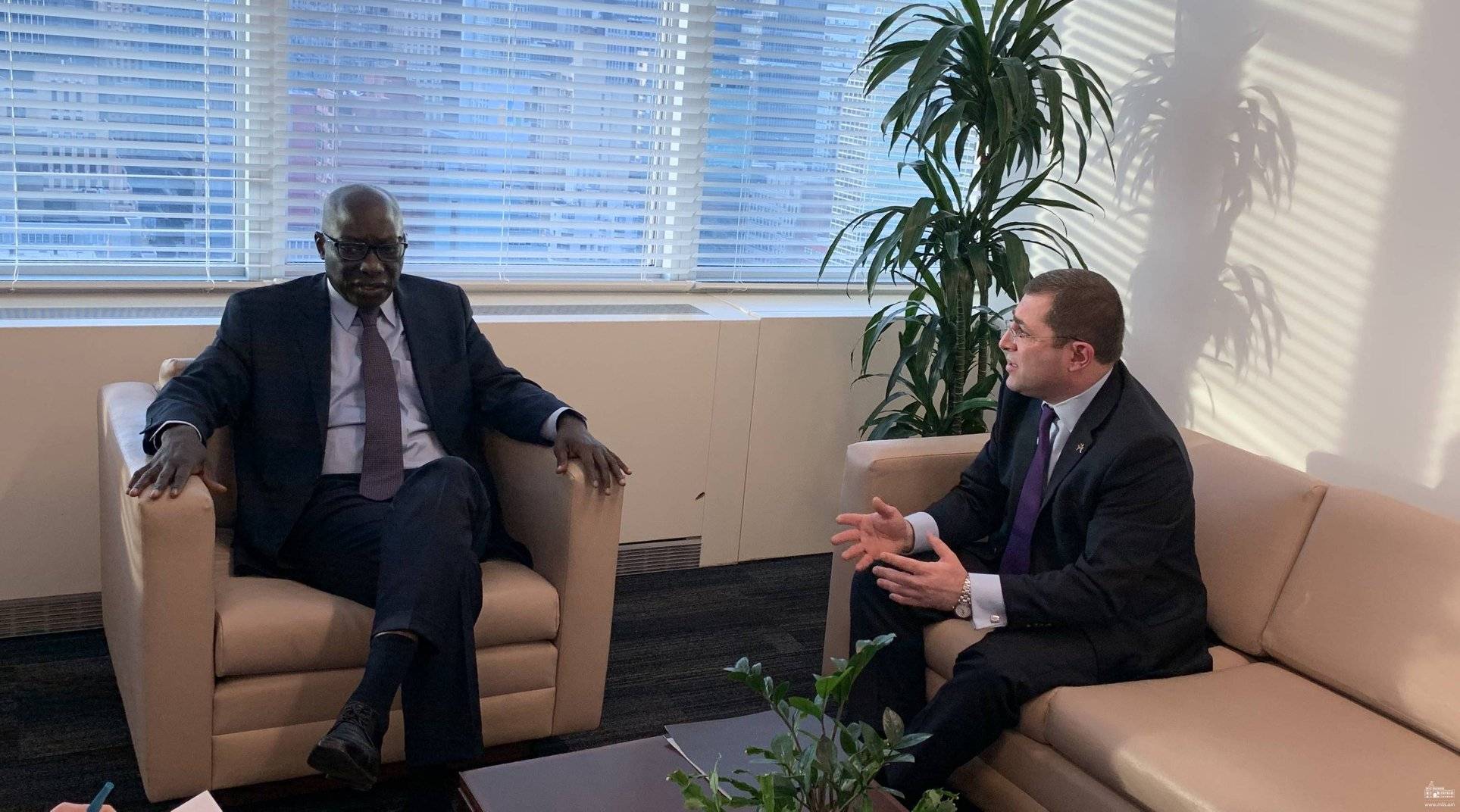 ՀՀ մշտական ներկայացուցիչը հանդիպեց Ցեղասպանության կանխարգելման հարցերով ՄԱԿ-ի Գլխավոր քարտուղարի հատուկ խորհրդական Ադամա Դիենգի հետ