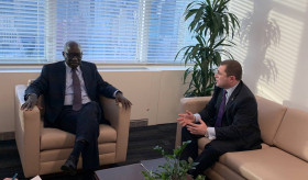ՀՀ մշտական ներկայացուցիչը հանդիպեց Ցեղասպանության կանխարգելման հարցերով ՄԱԿ-ի Գլխավոր քարտուղարի հատուկ խորհրդական Ադամա Դիենգի հետ