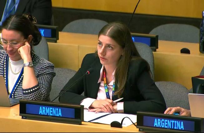 Remarks by Ms. Araksya Babikyan, Third Secretary of the Permanent Mission of Armenia to the UN, at the ECOSOC Operational Activities for Development Segment