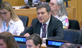 Statement by H.E. Mr. Paruyr Hovhannisyan, Permanent Representative of Armenia to the United Nations, at the Annual session of the Executive Board of the UNDP/UNFPA/UNOPS
